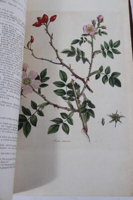 Curtis (William). FLORA LONDINENSIS... FIRST EDITION 2 vol., woodcut title vignettes, hand-coloured engraved plates, contemporary tree calf, tooled in gilt, rebacked, Morocco spine label, n.p., 1777-79. - 15