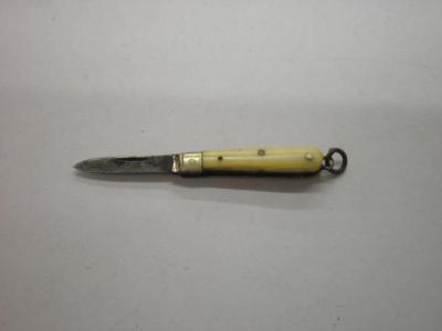 A miniature 19thC ivory and steel pen knife