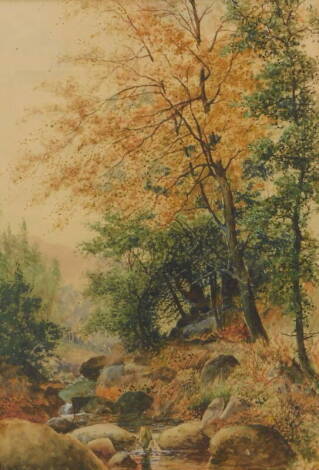 A.E. Boler (fl.1904). Stream before trees, watercolour, signed, 51cm x 35cm.