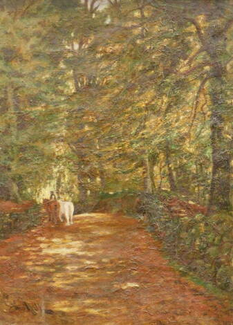 John Henry Hill (1839-1922). A Woodland Road, oil on canvas, signed, labelled to the back, 38cm x 27cm.