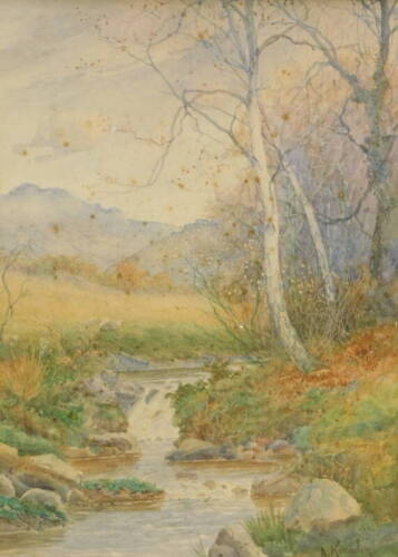 Albert Kinsley (1852-1945). Calm stream before trees and mountains, watercolour, signed, 36cm x 26cm.