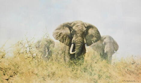 David Shepherd (1931-2017). Three Happy Jumbos, artist signed print, 47cm x 84cm and another The Ivory Is Theirs. (2)