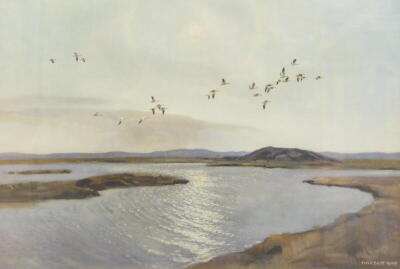 Peter Scott (1909-1989). Ducks in flight, artist signed print, 36cm x 50cm.