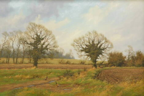 James Wright (b.1935). Country landscape with cock pheasant, oil on canvas, signed, 50cm x 75.5cm.