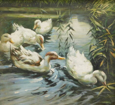 20thC School. Ducks, oil on board, inidistinctly signed, 49cm x 53cm.