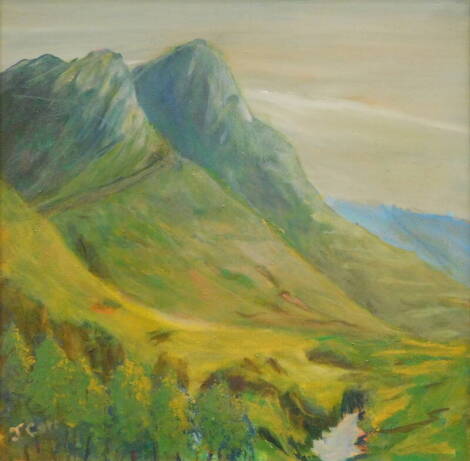 J. Carr (20thC). Mountain landscape, oil on board, signed 39cm x 39cm.