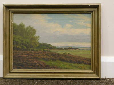 Jorgen Ejsing (1900-?). Country landscape, oil on canvas, signed and dated 1925, 29cm x 40.5cm. - 2