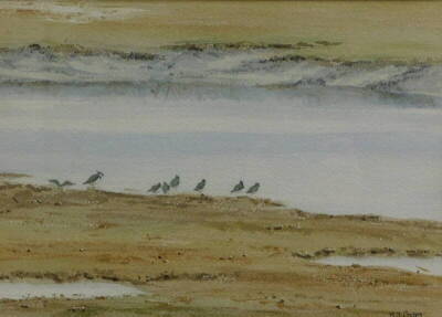 M.J. Gates (20thC). Coastal scene with birds, watercolour, signed, 24cm x 34cm. Artist label verso.