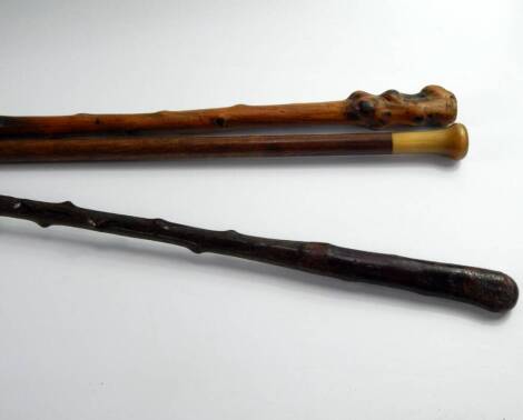 Three hardwood walking sticks, one with a horn handle, 80cm long.