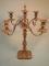 A 19thC silver plated five branch candelabrum