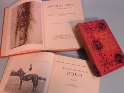Twelve books on horses