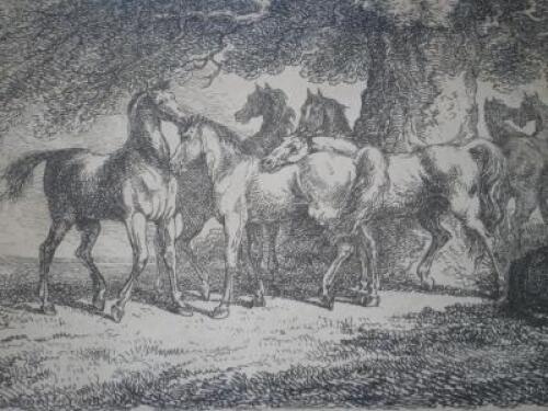 18thC print. Horses under tree published by H Brookes