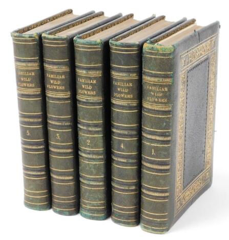 Hulme (F Edward). Familiar Wild Flowers third series, with coloured plates, five vols, gilt tooled green leather binding, pub. Cassell Petter Galpin & Co.