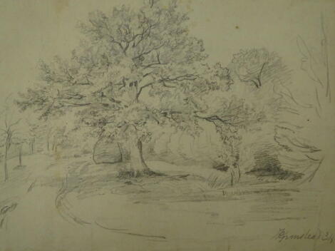 Thomas Sidney Cooper RA (1803-1902). Study of trees bordering a lane, pencil on paper, 19cm x 25cm. Watermarked "Ruse & Turners 1815" Inscribed "Grinstead" and dated 1834. Provenance: Goodacre Collection No 304.