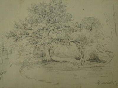 Thomas Sidney Cooper RA (1803-1902). Study of trees bordering a lane, pencil on paper, 19cm x 25cm. Watermarked "Ruse & Turners 1815" Inscribed "Grinstead" and dated 1834. Provenance: Goodacre Collection No 304.