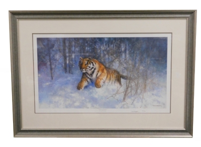 After David Shepherd. Tiger in the Snow, limited edition number 62950, signed in pencil to the border and dated 05, with certificate of authenticity, 37cm x 67cm, framed and glazed. - 2