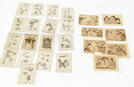 Various loose book page engravings, to include mainly French pages on bugs, butterflies and flowers, together with a small group of paper prints of Oriental figures. (a quantity)