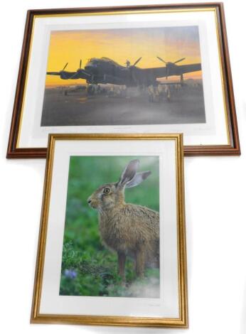 After Gerald Coulson. A Lincolnshire sunset 1944, artists signed limited edition print, number 141 of 500, also signed by various members of the 617 Squadron to include Tony Aveson, Malcolm Hamilton, etc., 52cm x 67cm, and a photograph of a hare signed Mi