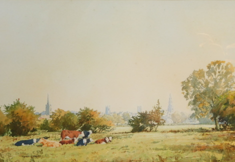 Cyril J Mayes (British, 20thC). A Touch of Autumn, a View of Stamford across The Meadows, watercolour, signed, dated '81, 27.5cm high, 40.5cm wide.