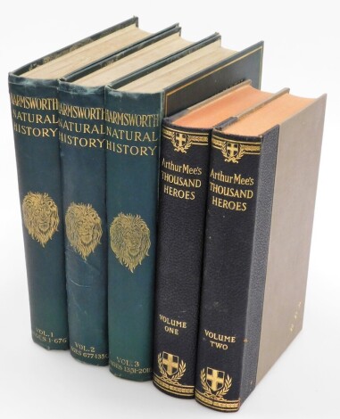 Two groups of books, to include Harmsworths Natural History volumes one to three, and Arthur Mee's Thousand Heroes volumes one and two. (5)