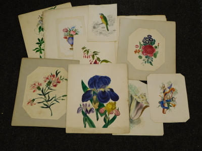 19thC School. Floral studies, watercolour, (12, contents of folder). - 2