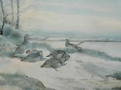 Archibald Thorburn (1860-1935). Pheasants in a winter landscape, Fryern Gallery, limited edition print no. 335/500, 29cm x 39cm and a Philip Rickman artist signed limited edition print (2).