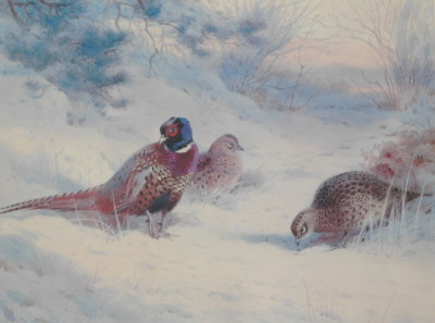 Archibald Thorburn (1860-1935). Pheasants in a winter landscape, Fryern Gallery, limited edition print no. 335/500, 29cm x 39cm and a Philip Rickman artist signed limited edition print (2). - 2