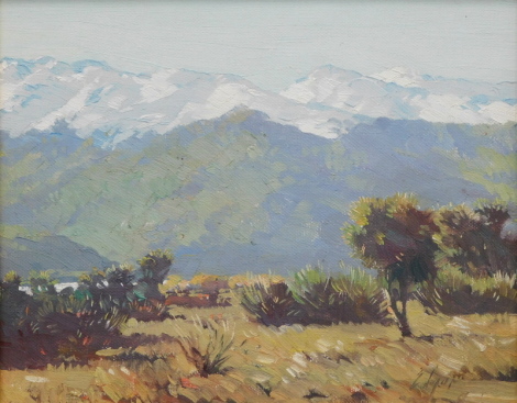 20thC South American School. Landscape, oil on board, indistinctly signed, 23cm x 29cm.