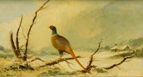 20thC School. Pheasant in snowy landscape, oil on canvas, indistinctly signed, 24cm x 46cm.