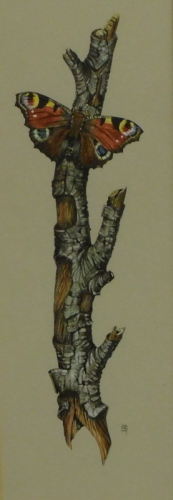 H.S. 20thC. Peacock and silver birch, watercolour and body colour, signed with a monogramme, 31cm x 10cm.