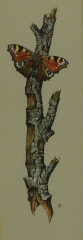 H.S. 20thC. Peacock and silver birch, watercolour and body colour, signed with a monogramme, 31cm x 10cm.