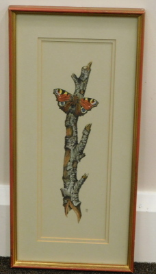 H.S. 20thC. Peacock and silver birch, watercolour and body colour, signed with a monogramme, 31cm x 10cm. - 2