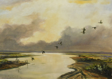 Shirley Carnt (20thC School). Ducks in Flight, oil on canvas, signed 46cm x 58cm.