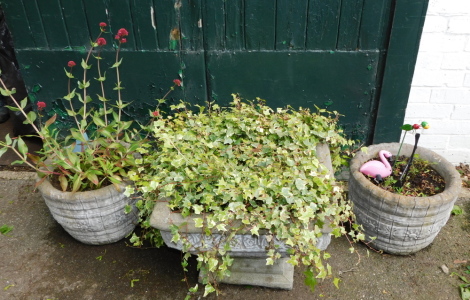 A square concrete flower pot on stand, containing ivy, 40cm high, 52cm wide, and a pair of concrete cylindrical flower pots, 29cm high, 40cm diameter. (3)