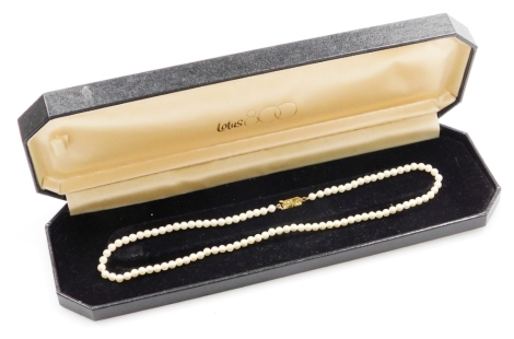 A string of Lotus cultured pearls, in a 9ct gold clasp, 40cm long, boxed.