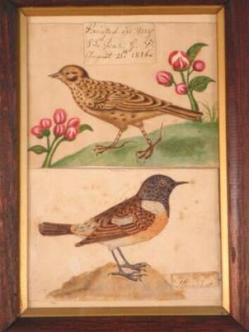 A pair of rice paper paintings of birds