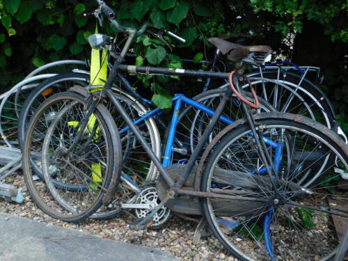 A quantity of bicycles, to include Claude Butler, etc. (a quantity)