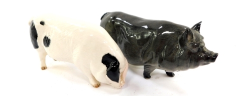 A Beswick pottery figure modelled as a Gloucester Old Spot pig G230, together with a Vietnamese Pot Bellied pig. (2)