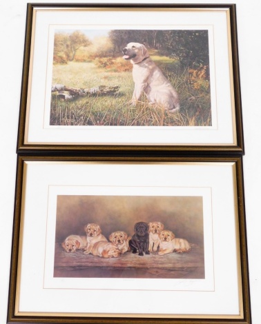 Two framed limited edition dog prints, to include after MN Thackstone, limited edition 150 of 200, signed in margin, 31cm x 48cm, and another one entitled Odd One Out, limited edition number 348 of 500, 22.5cm x 42cm, framed. (2)