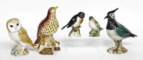 Five Beswick bird ornaments, to include stone chat 2274, gold crest 2415, lapwing 2416, barn owl 2026, and another larger bird 2308. (5)