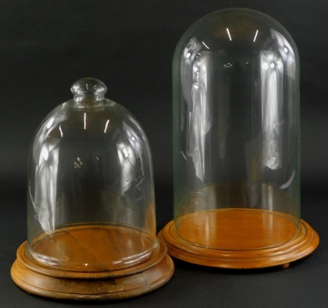 A glass dome, on turned hardwood base, 46cm high overall, and another dome on turned elm base, 34cm high. (2)