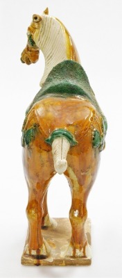 A Chinese terracotta horse in Tang style, decorated in green and orange glaze on a rectangular base, 40cm high. - 4