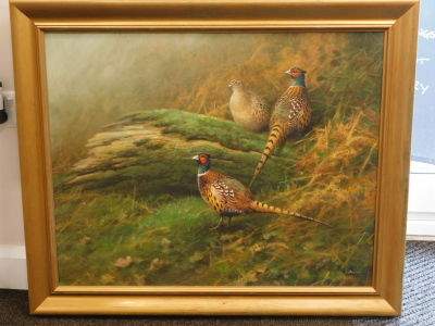 Neil Cox (b.1955). Pheasants foraging in bracken, oil on canvas, signed, 59.5cm x 75cm. Provenance: Christies Lot 190 23 November 2006. - 2