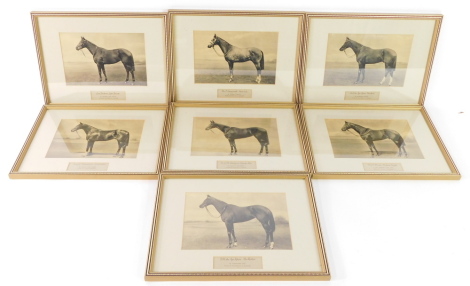 Seven early 20thC equestrian photographic prints on canvas, framed and glazed, comprising Lord Durham's Light Brocade., Mrs E Harmsworth's Master Vere., Lord Glanely's Colombo., Mr G Z X Hartigan's Meadow Rhu., Mr J A Dewar's Medieval Knight., H H The Aga