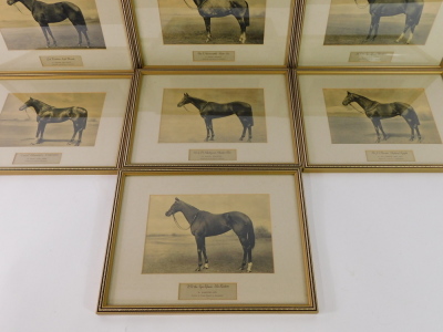 Seven early 20thC equestrian photographic prints on canvas, framed and glazed, comprising Lord Durham's Light Brocade., Mrs E Harmsworth's Master Vere., Lord Glanely's Colombo., Mr G Z X Hartigan's Meadow Rhu., Mr J A Dewar's Medieval Knight., H H The Aga - 2