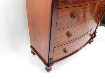 A Victorian mahogany bow front chest, of four long graduated drawers, raised on bun feet, 120.5cm high, 119cm wide, 52cm deep. - 3
