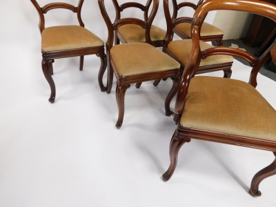 A set of six Victorian mahogany balloon back single dining chairs, with drop in seats, raised on cabriole legs. - 3