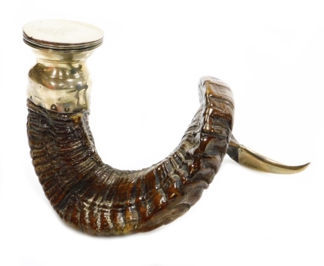 A George V ram's horn silver table snuff mull, the lid bearing crown and initials WE, with two interlinked crossed sword shield, with silver foot, top and cap end, Sheffield 1919, 19cm high, 30cm wide.