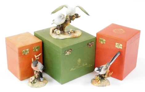 Three boxed Royal Crown Derby bird ornaments, to include Bullfinch, 12cm wide, Long Tailed Tit, 16cm high, and Budgerigars, 13cm high. (3)