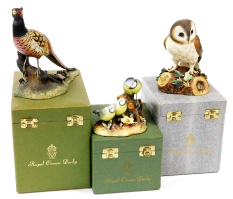 Three Royal Crown Derby boxed bird ornaments, to include Brown Owl, 16cm high, Blue Tit and chicks, 11cm high, and Pheasant signed J Brown, 18cm high. (3)